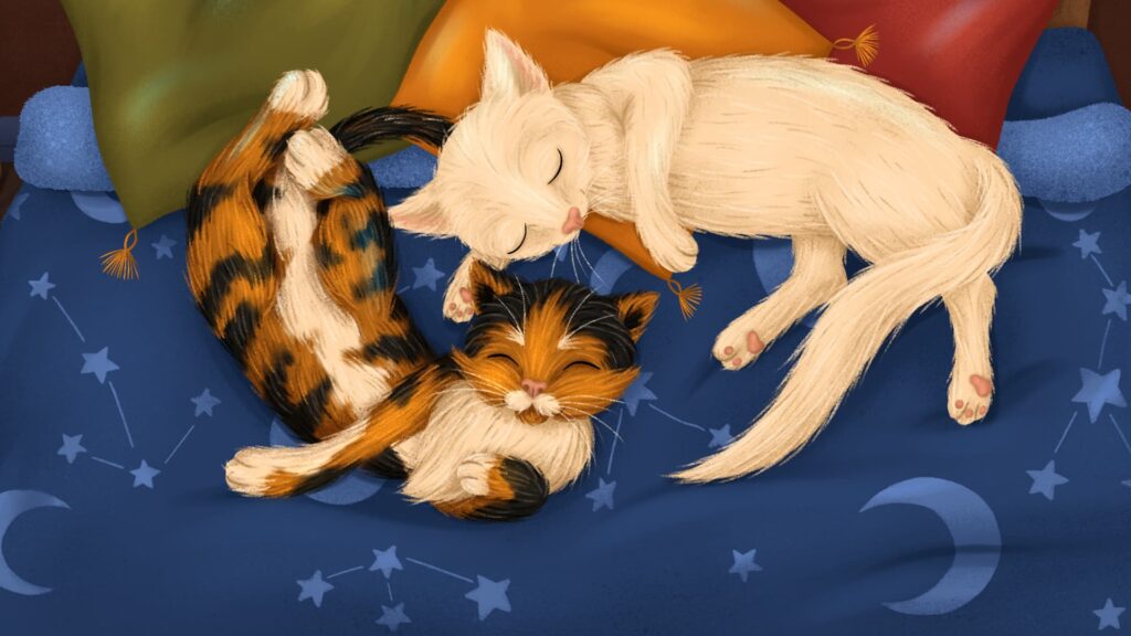Purr-fect Dreams